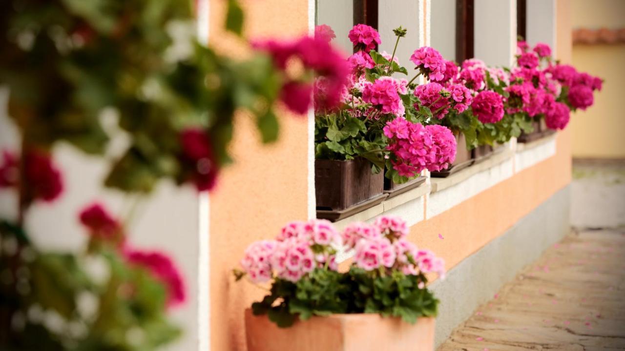 Hotel Reineldis Мурэкк Экстерьер фото